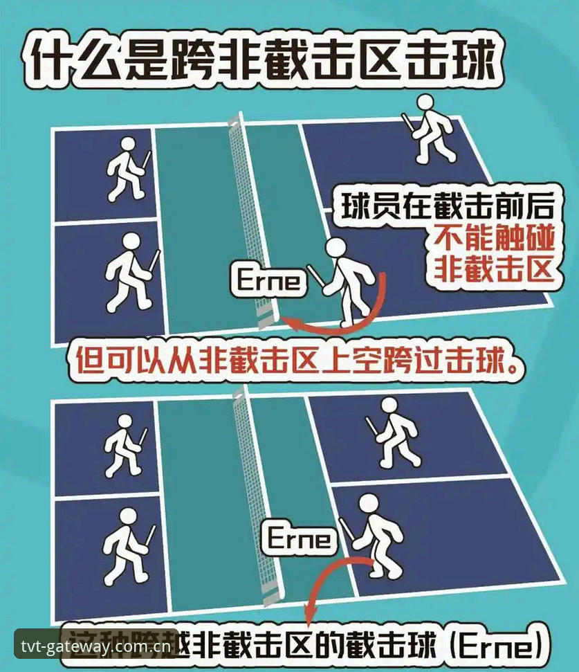 5个tvt体育最新版本常见问题与解决方法，老用户手把手教你避开坑